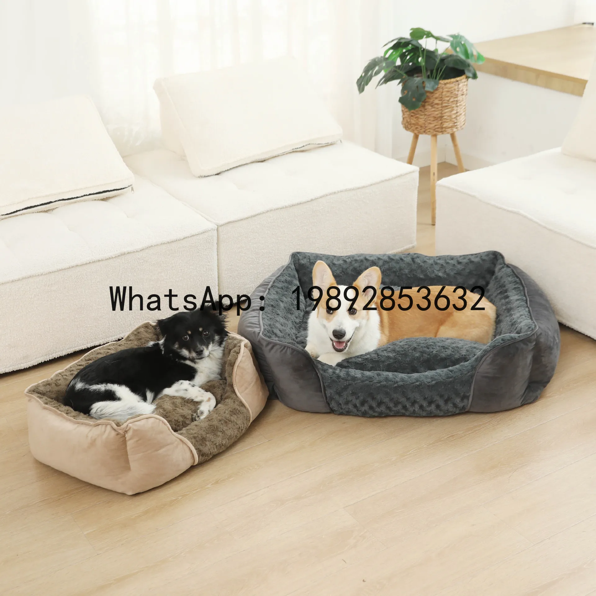 Pet X Supplies - Rumah kucing X, kandang anjing semi-tertutup,