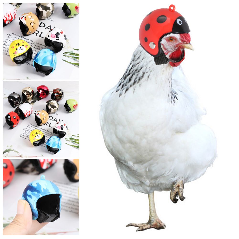 Pet X Supplies & Tack Howell Mi - Perlengkapan Hewan Peliharaan Lucu ABS, Pelindung