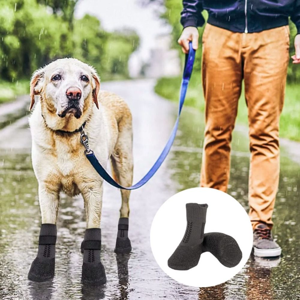 4 Buah Sepatu Kaus Kaki Hewan  - Pet Supplies Vending Machine ulasan dan harga