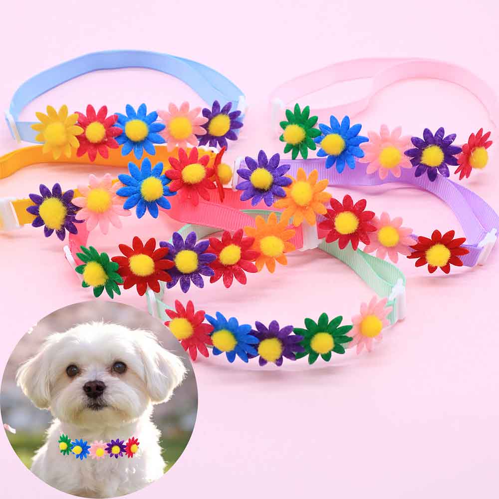 50 Buah Aksesori Bunga Dasi Ku - Pet Supplies Coupon ulasan dan harga