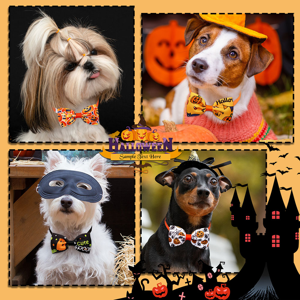 10 buah Aksesori anjing Hallow - Pet Supplies Coupon ulasan dan harga