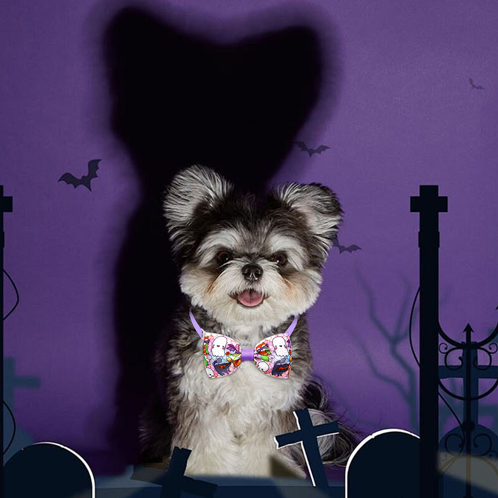 10 buah Aksesori anjing Hallow - Pet Supplies Coupon ulasan dan harga