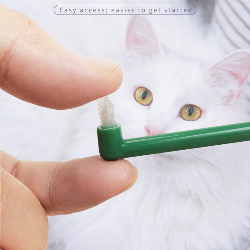 Sikat Gigi Anjing Kucing Mikro - Pet Supplies Vending Machine ulasan dan harga