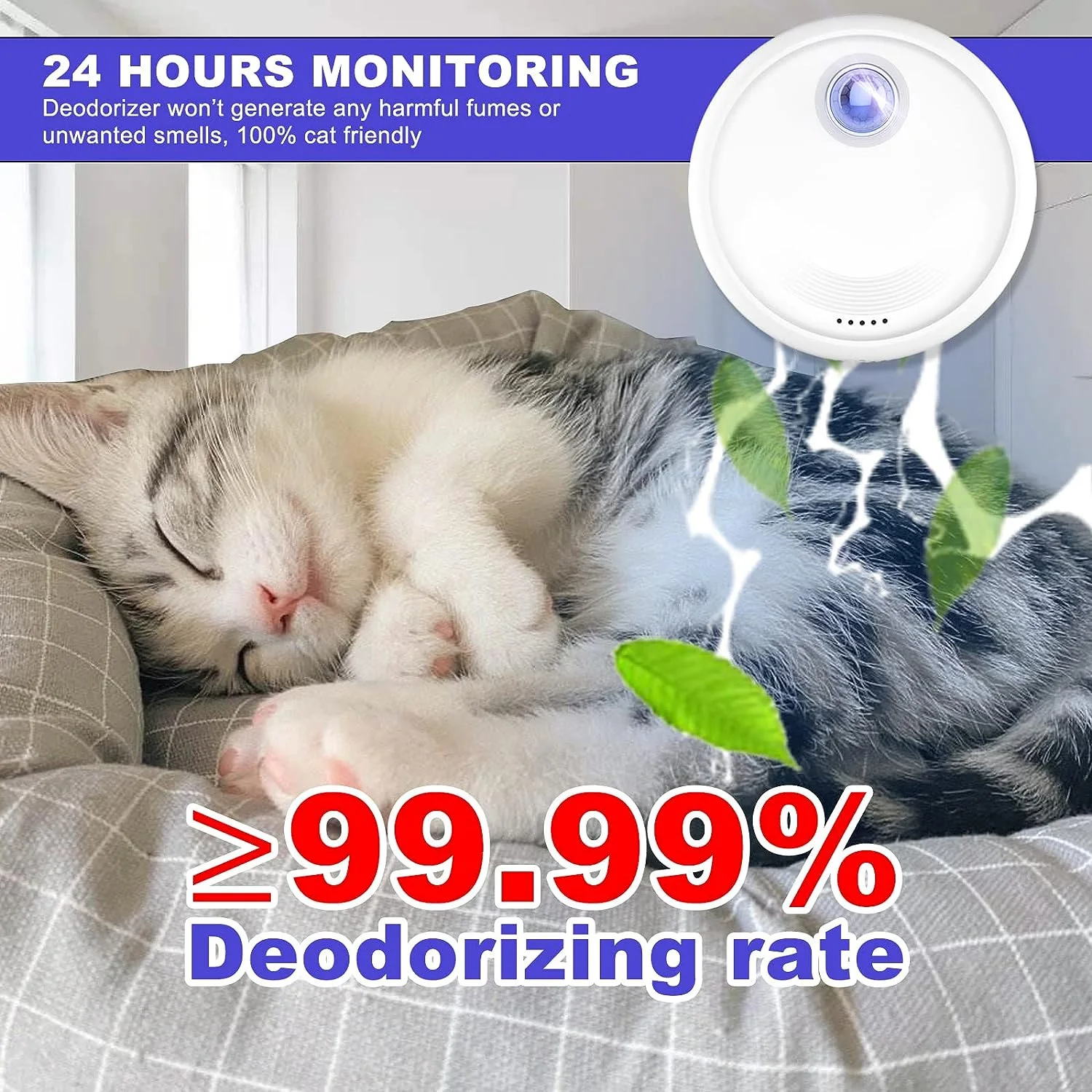 Penghilang Bau Kotoran Kucing  - Pet Supplies Outlet ulasan dan harga