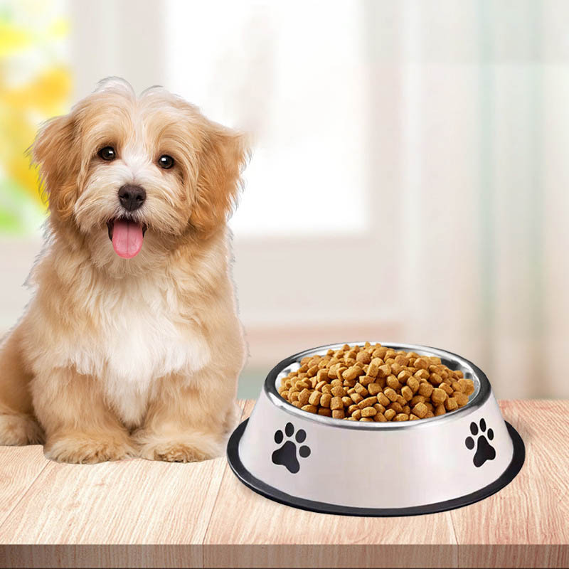 Mangkuk Hewan Peliharaan Baja  - Pet Supplies Coupon ulasan dan harga