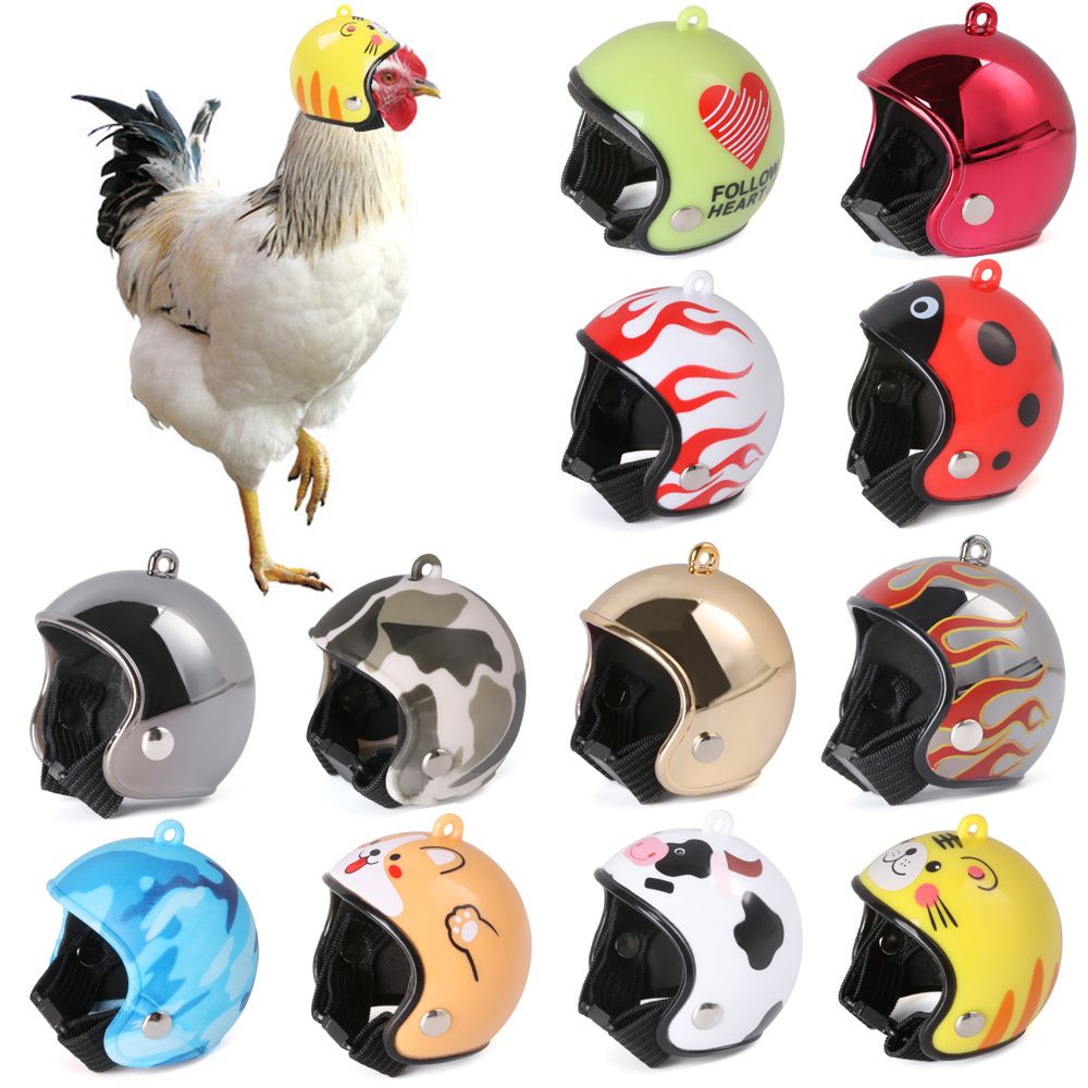 Perlengkapan Hewan Peliharaan  - Pet X Supplies & Tack Howell Mi ulasan dan harga