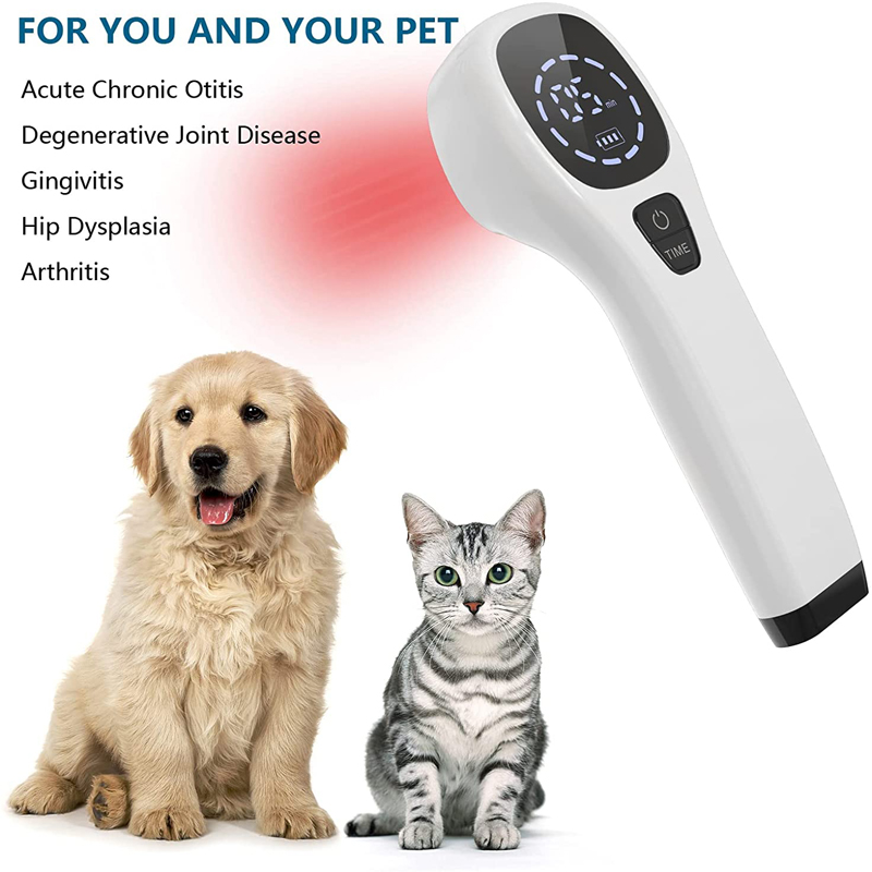 Perangkat Terapi Laser Dingin  - Pet Supplies Outlet ulasan dan harga